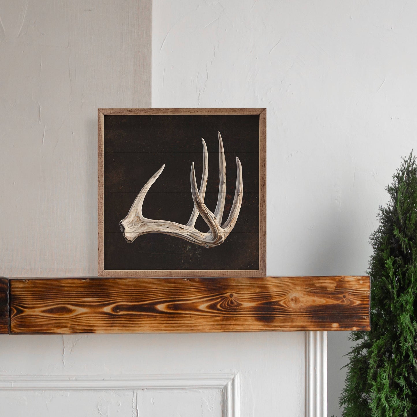 Antler Black