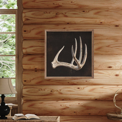 Antler Black