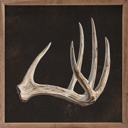 Antler Black